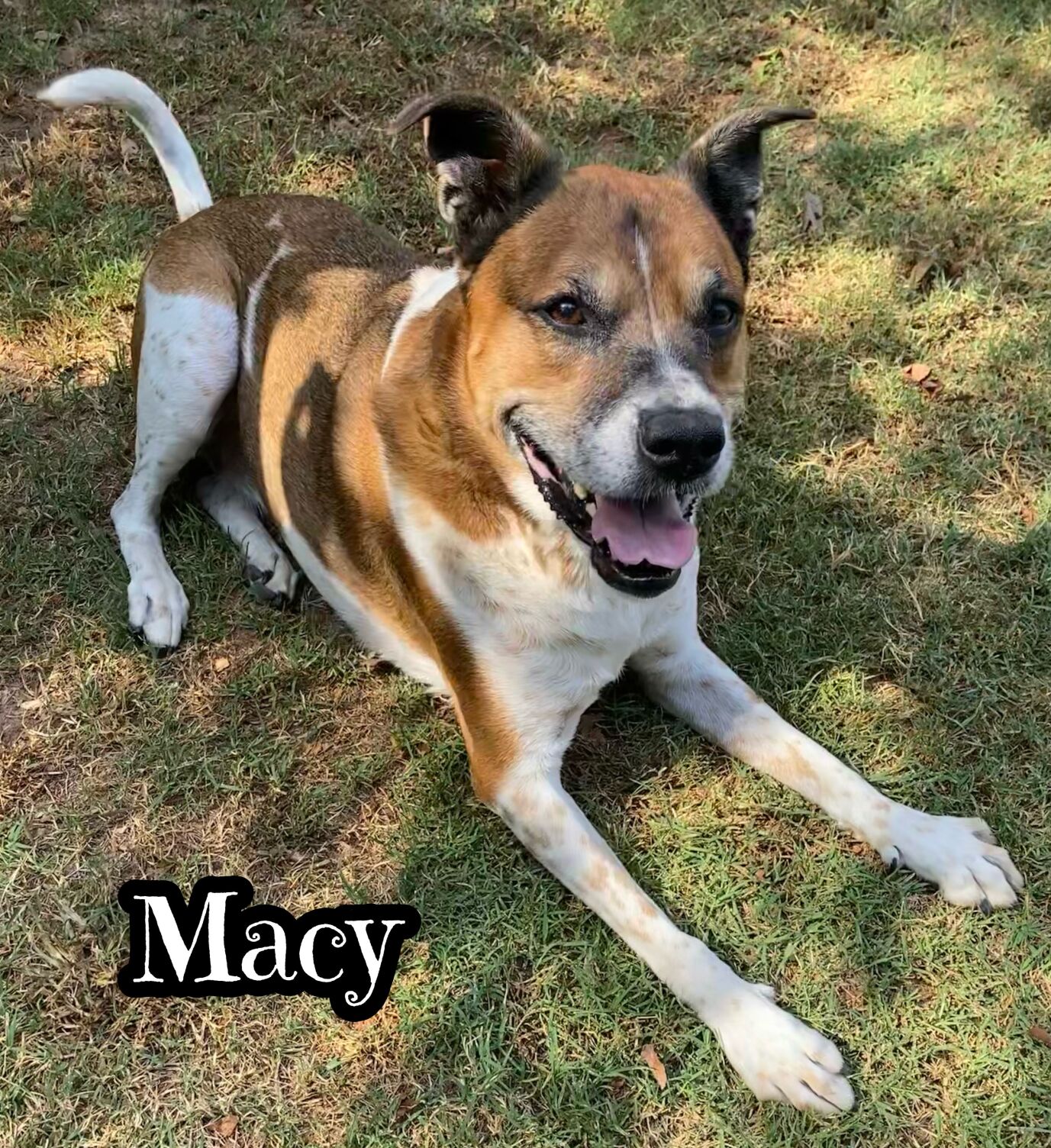 Macy
